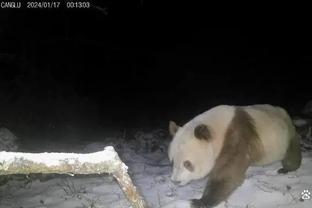 雷竞技苹果下载二维码截图2